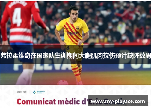 弗拉霍维奇在国家队集训期间大腿肌肉拉伤预计缺阵数周 弗拉霍维奇在国家队集训期间大腿肌肉拉伤预计缺阵数周
